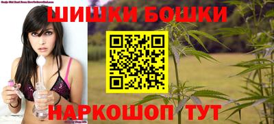 индика Ливны