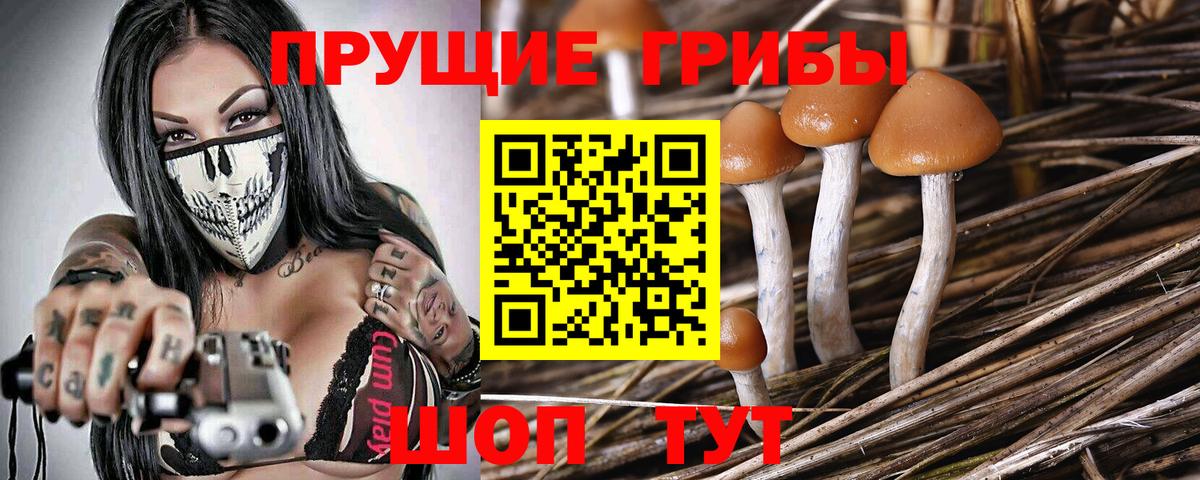 Галлюциногенные грибы Magic Shrooms  Вход с VPN  Псилоцибиновые грибы MAGIC MUSHROOMS  Иркутск 